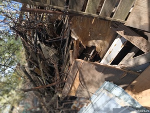 capete de lemne - imagine 3