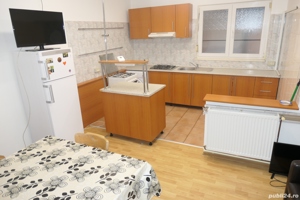 Apartament 1 cameră spațios, încălzire proprie, central - Podgoria - imagine 5