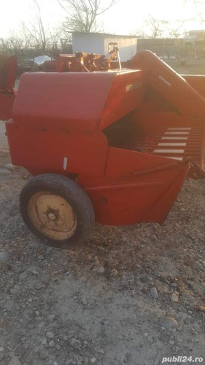 Balotiera dreptunghiulara - imagine 4