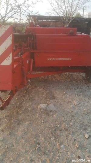 Balotiera dreptunghiulara - imagine 6