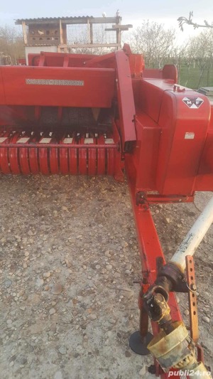 Balotiera dreptunghiulara - imagine 2