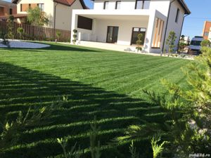 Servicii peisagistice - imagine 6