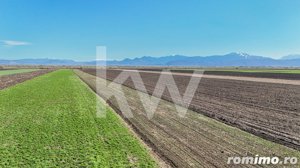 Vanzare teren extravilan agricol Halchiu 15000mp - imagine 10