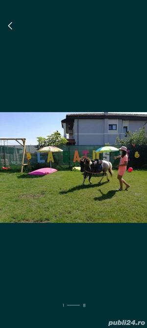 Inchiriere ponei, cai si alte animale domestice pentru evenimente  - imagine 2