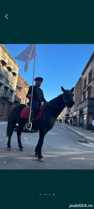 Inchiriere ponei, cai si alte animale domestice pentru evenimente  - imagine 4