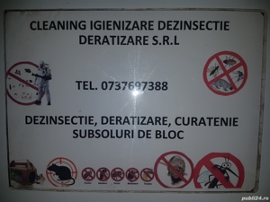 Firma curățenie subsol