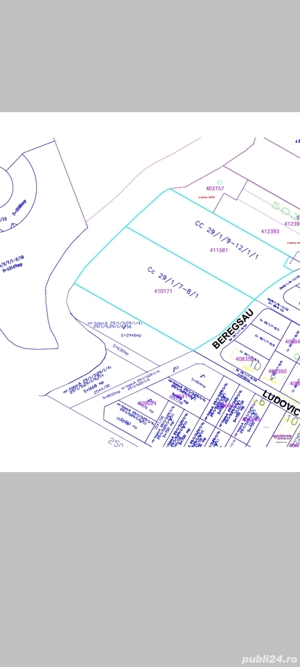 Teren intravilan 15000mp Dumbrăvița de vânzare  - imagine 3
