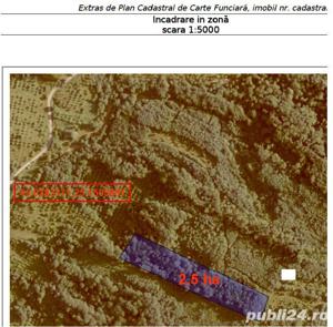 Vand (1) 5,5 ha livada meri + (2) 2.5 ha padure, si [3] 1 ha padure - imagine 5