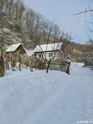 Apuseni Casa dinbarne lemn si piatra 2 camere si beci,49mp, Zam  Valea, cu cadastru si intabulare - imagine 2