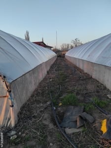 Vând solarii pe structura metalica