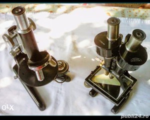 Microscoape REICHERT 