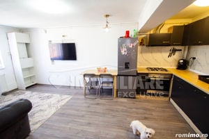 Apartament 2 Camere - Iosefin, Timisoara - imagine 7