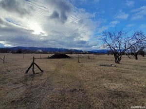 Teren intravilan de vanzare în  livada 3 Ghimbav - imagine 2