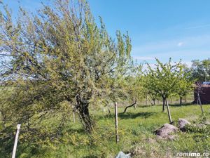 Teren intravilan de vanzare 1665 mp pe strada Piatra Craiului - imagine 8