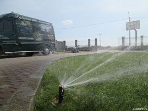 Consultata, amenajare si intretinere completa a spatilor verzii  - imagine 6