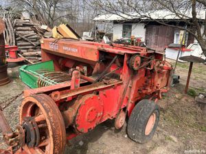 Balotiera mica - imagine 2