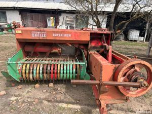 Balotiera mica - imagine 3