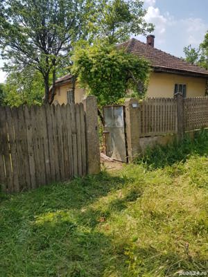 Casa si teren cu vie in Drănic, Dolj,  România - imagine 5