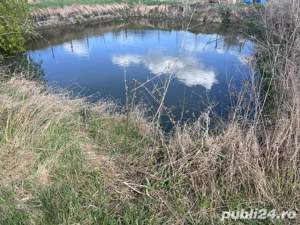 Teren de vânzare direct de la proprietar - imagine 3 Teren de vânzare direct de la proprietar - imagine 3