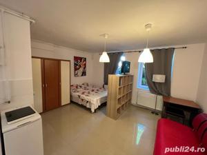 Bastion apartament 2 - Studio in regim hotelier situat in centrul Timisoarei - imagine 10