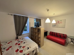 Bastion apartament 2 - Studio in regim hotelier situat in centrul Timisoarei - imagine 6