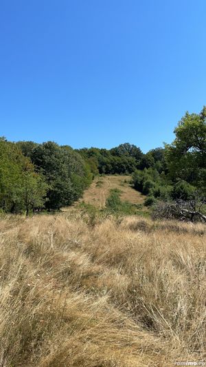 Teren Extravilan în mijlocul naturii. - imagine 6