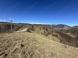 Teren 10000   mp in zona Pestera-Moieciu, la 5 km de Bran  - imagine 7