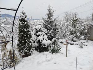 teren de vinzare - imagine 3