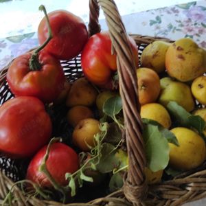 teren de vinzare - imagine 6