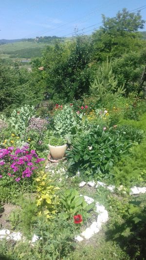 teren de vinzare - imagine 9