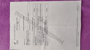 Teren intravilan comuna Leu Dolj - imagine 4