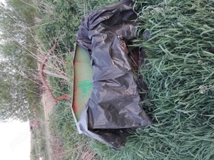 De vânzare următoarele utilaje  - imagine 5