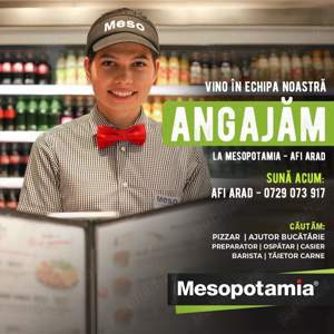 Mesopotamia Afi Arad angajează 