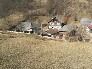 Vabnd teren Barsana,Maramures - imagine 4