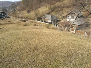 Vabnd teren Barsana,Maramures - imagine 3