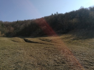 Vabnd teren Barsana,Maramures - imagine 7