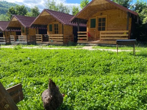 Vând camping la munte   afacere la cheie - imagine 10