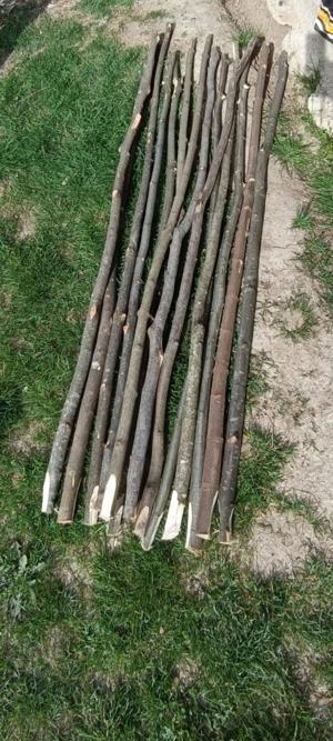 Araci pentru rosii..fasole