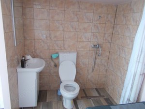 Casa, P+E, Timisoara, zona Crisan, 4 cam, 360mp, teren, acces auto - imagine 19