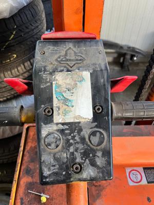 Liza electrica  - imagine 6