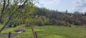 Teren vânzare Axintele Ialomița  - imagine 9 Teren vânzare Axintele Ialomița  - imagine 9