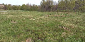 Teren de vânzare 5000 metri pătrați zona de munte  - imagine 3