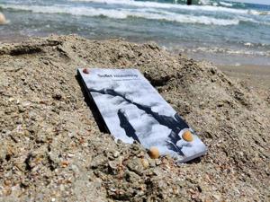 Suflet Mizantrop - Volum  Carte de poezii - imagine 2