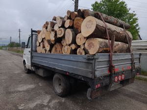 Lemn De Foc - imagine 4