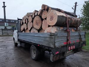 Lemn De Foc - imagine 5