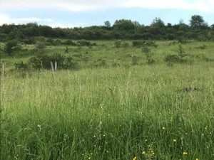 Vand Teren Intravilan in Deusu-Chinteni - imagine 3