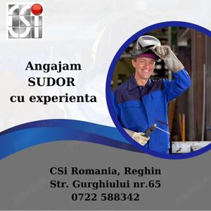 Sudor cu experienta - Reghin