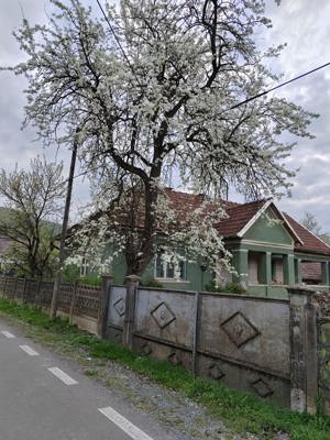 Vand casa loc. Cășeiu-Cluj - imagine 3