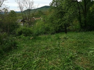 Teren intravilan  - imagine 4