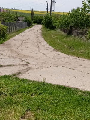 Teren Pielești 10euro mp - imagine 2